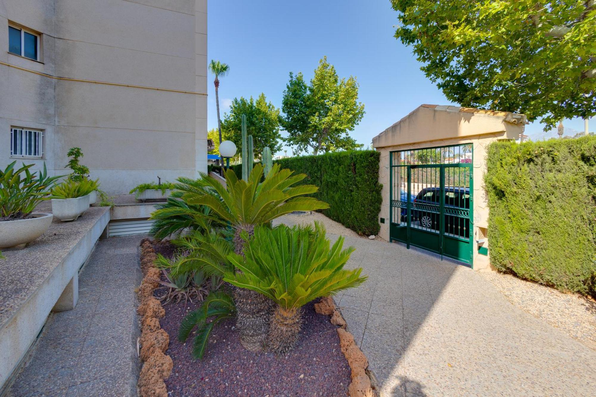 Apartamentos Oasis El Albir Ngoại thất bức ảnh