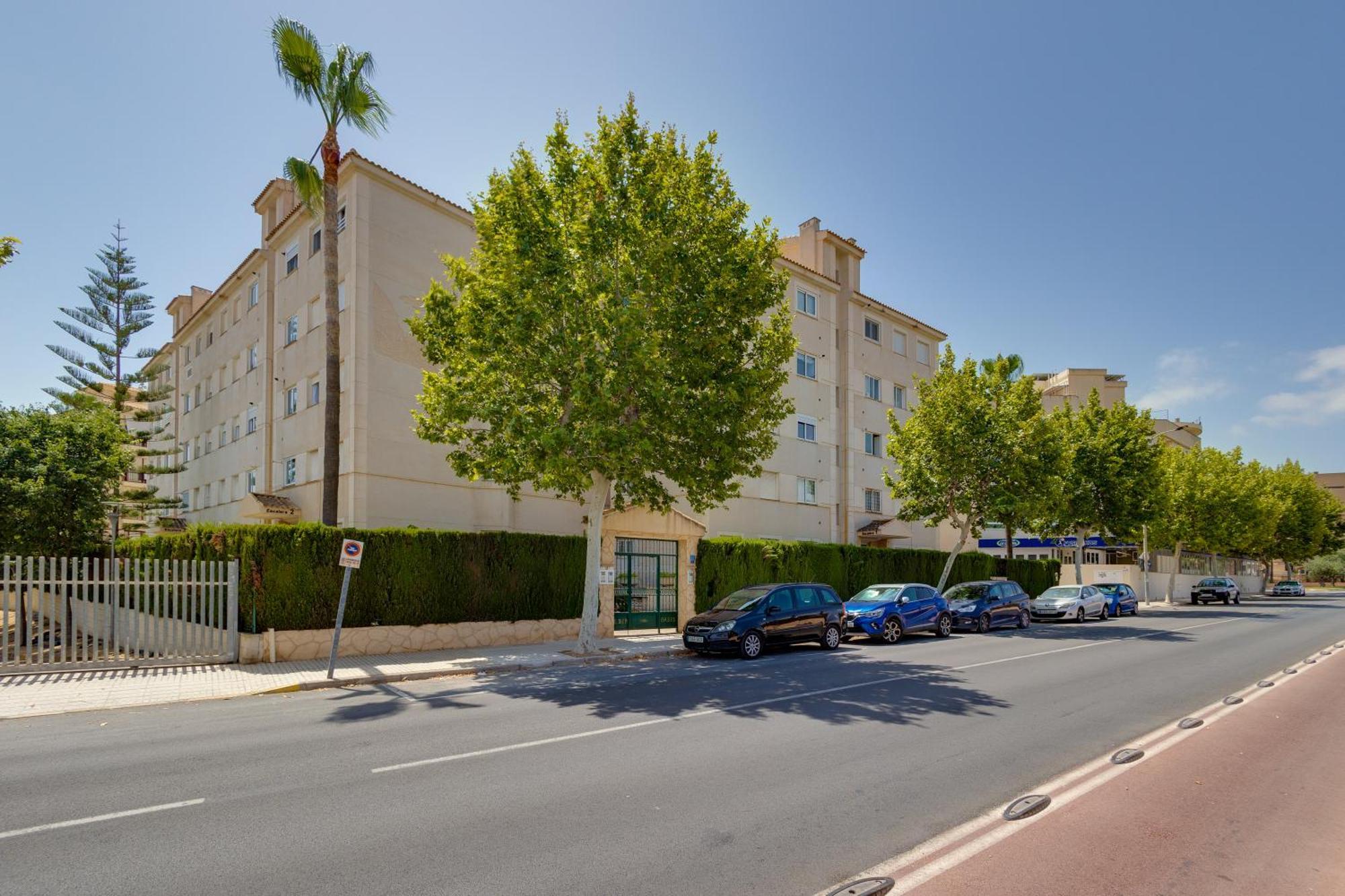 Apartamentos Oasis El Albir Ngoại thất bức ảnh